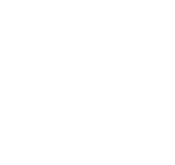 white security icon